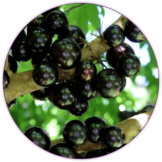 הטעימים ביותר