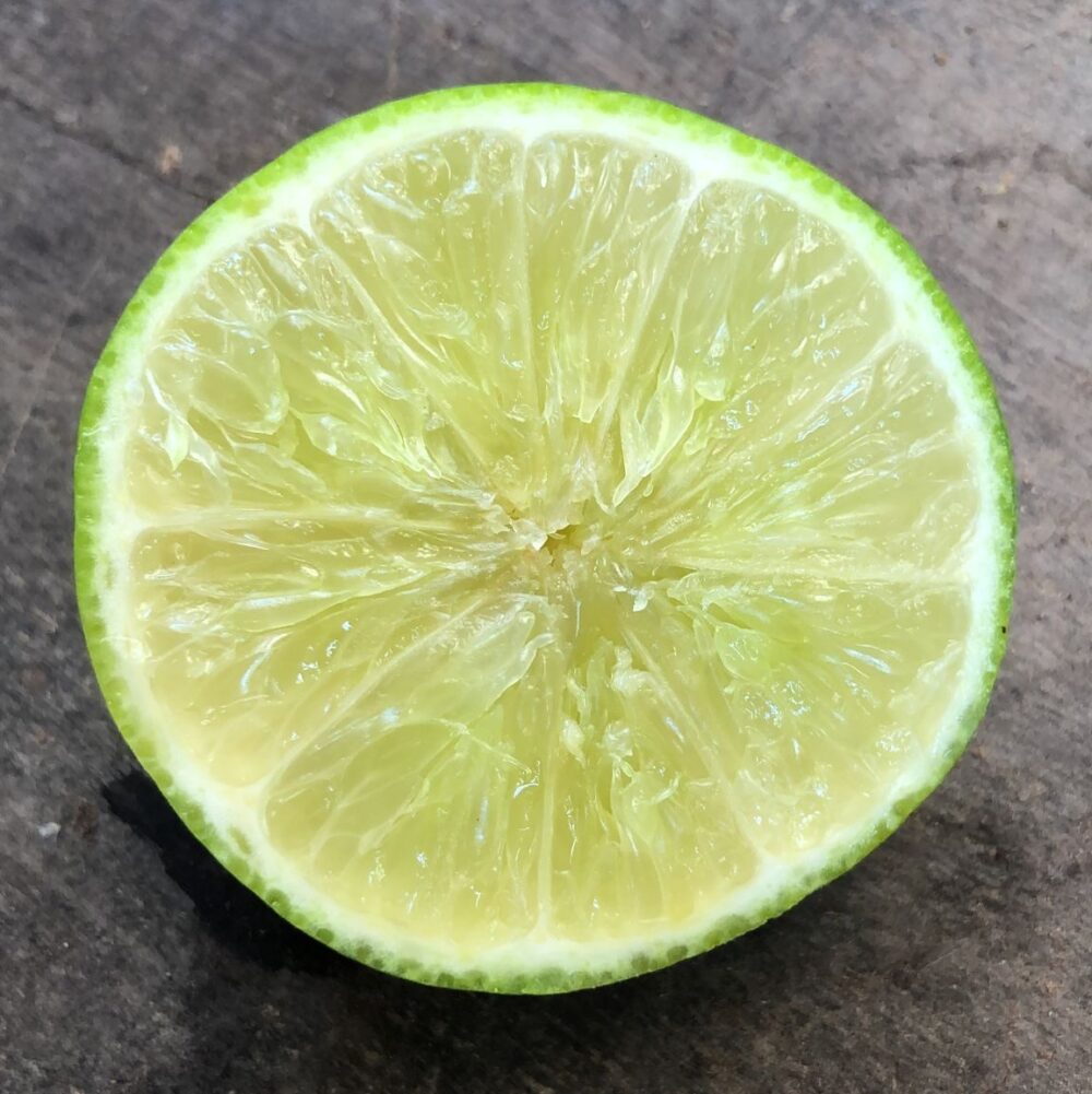 ליים ללא גרעינים