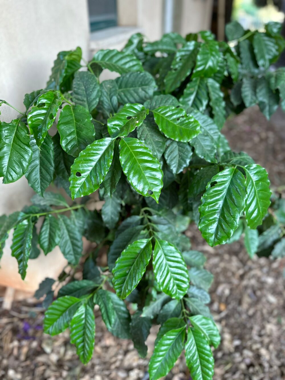 Whatsapp Image 2023 09 03 At 18.11.32