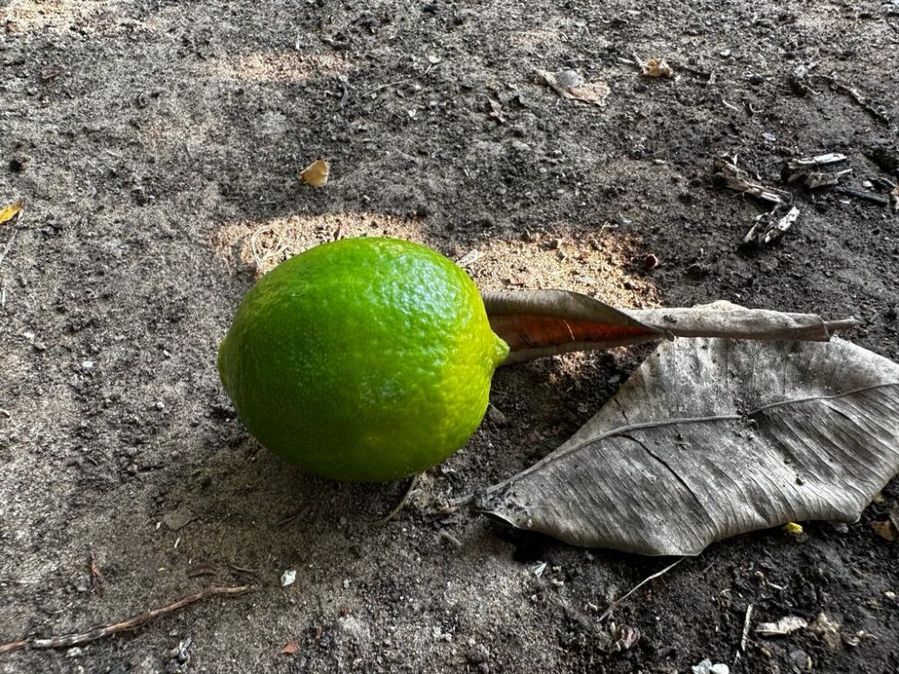 Whatsapp Image 2023 09 04 At 09.35.38