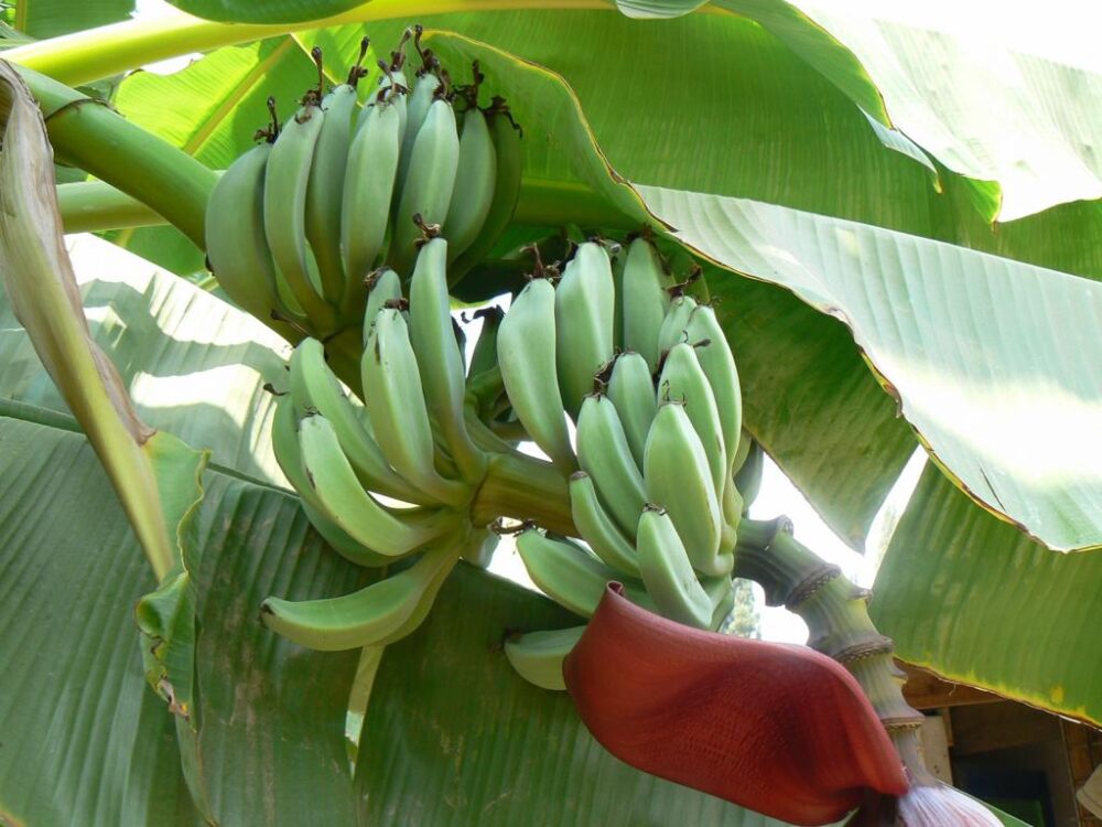 Whatsapp Image 2023 09 06 At 21.48.17(1)