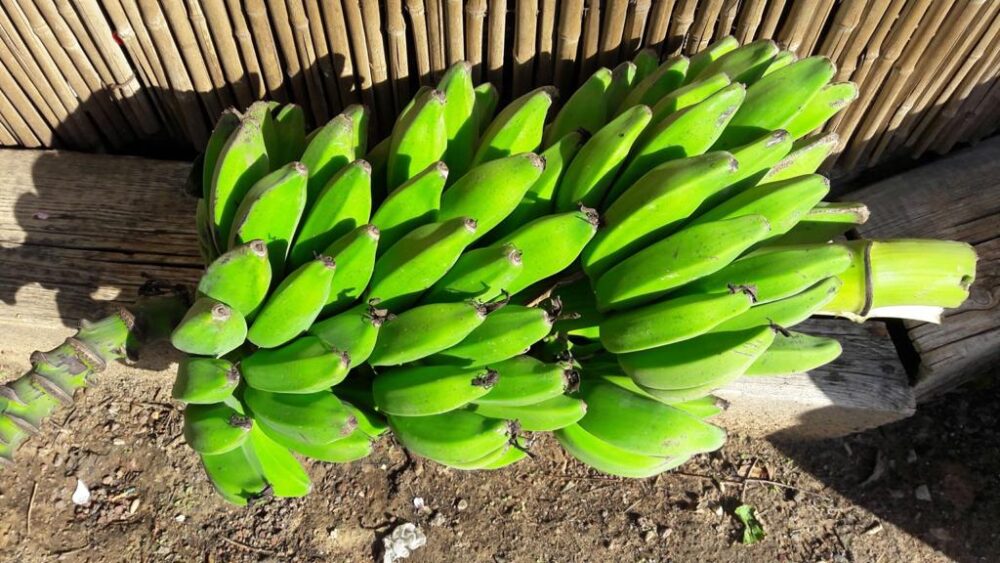 Whatsapp Image 2023 09 06 At 21.56.04