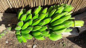 Whatsapp Image 2023 09 06 At 21.56.04