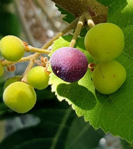 Whatsapp Image 2023 09 10 At 14.42.24