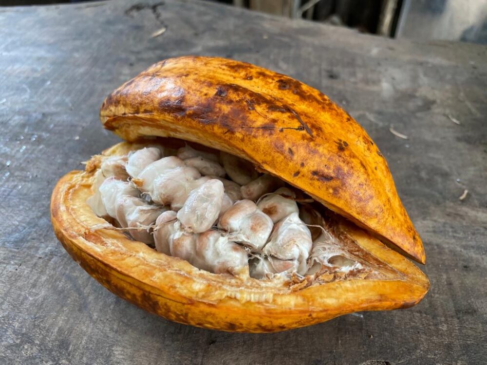 Whatsapp Image 2023 09 11 At 20.42.01