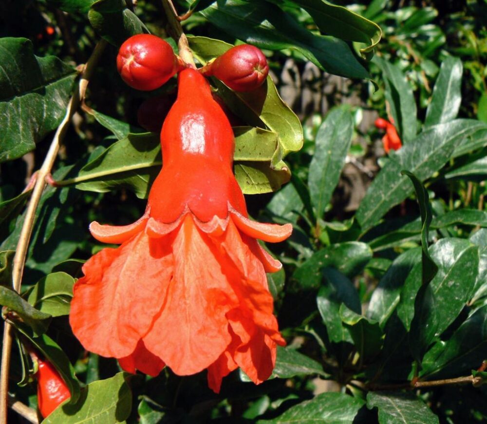 Whatsapp Image 2023 09 12 At 11.23.11