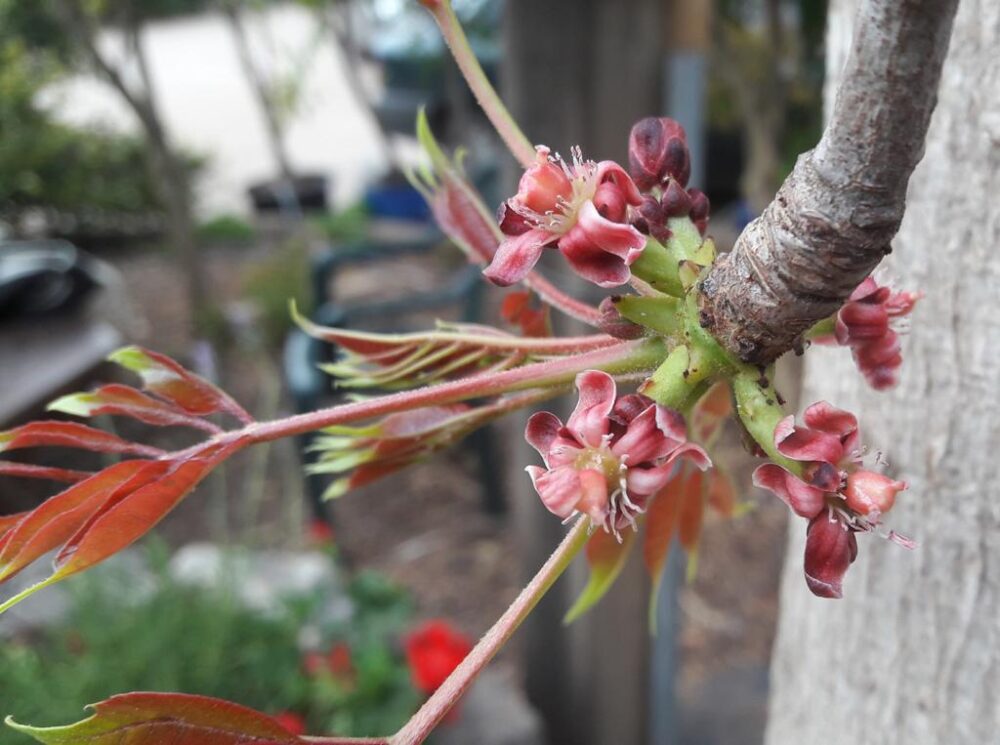 Whatsapp Image 2023 09 12 At 12.50.36