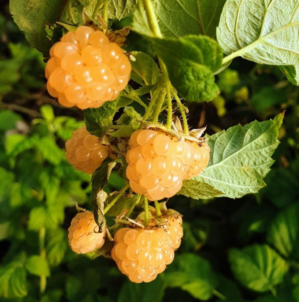 Whatsapp Image 2023 09 14 At 14.18.59