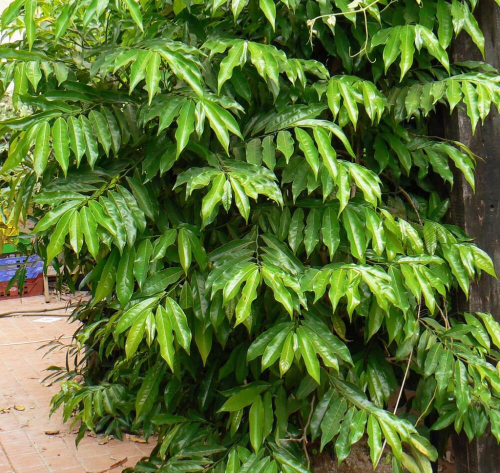 Whatsapp Image 2023 09 16 At 13.34.28