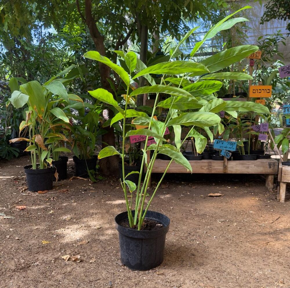 Whatsapp Image 2023 09 18 At 15.27.24