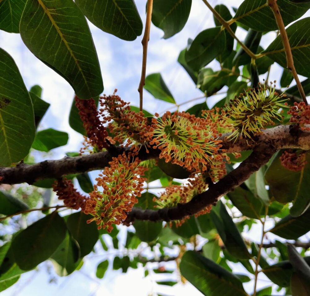 Whatsapp Image 2023 09 18 At 20.10.23