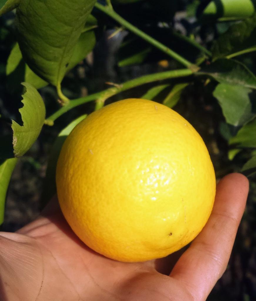 Whatsapp Image 2023 09 18 At 22.37.16