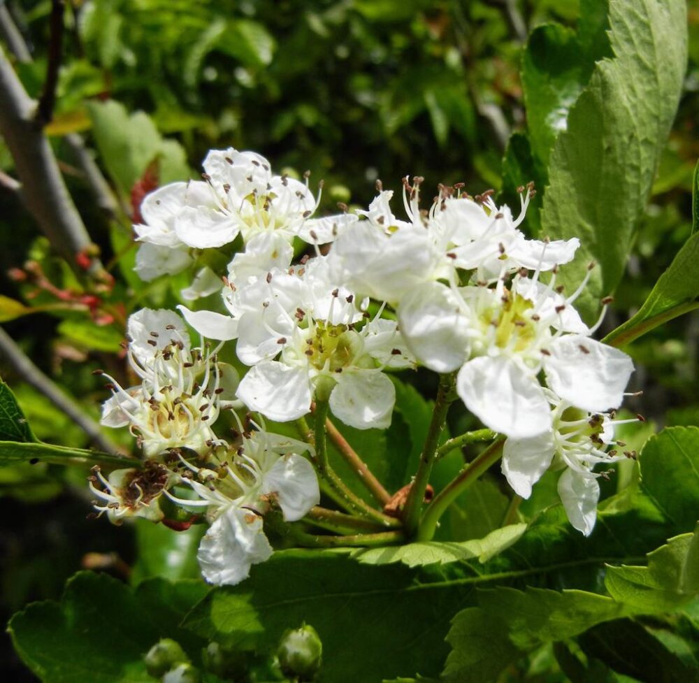 Whatsapp Image 2023 09 23 At 13.40.03