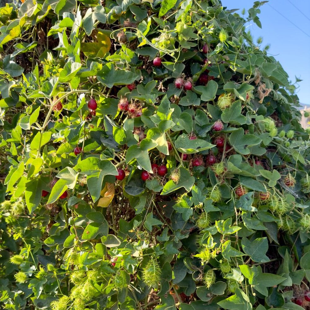 Whatsapp Image 2023 09 24 At 18.36.53