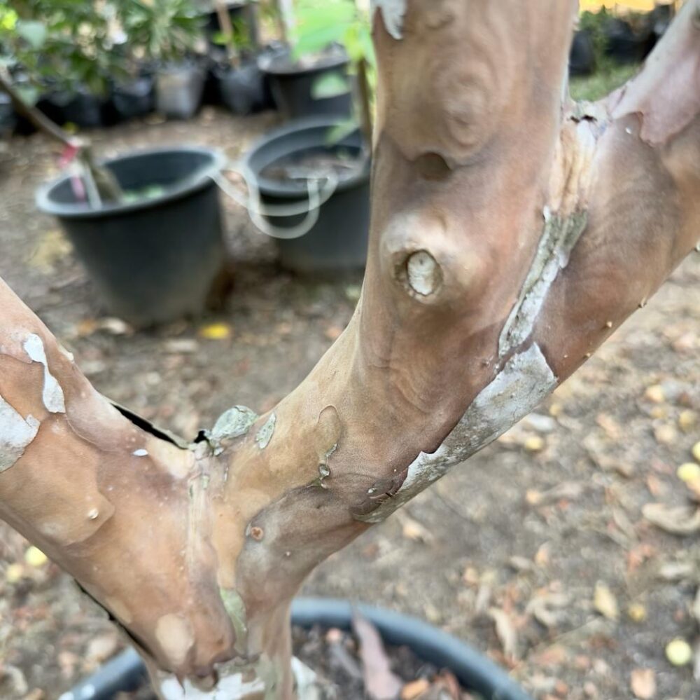 Whatsapp Image 2023 09 25 At 16.15.08