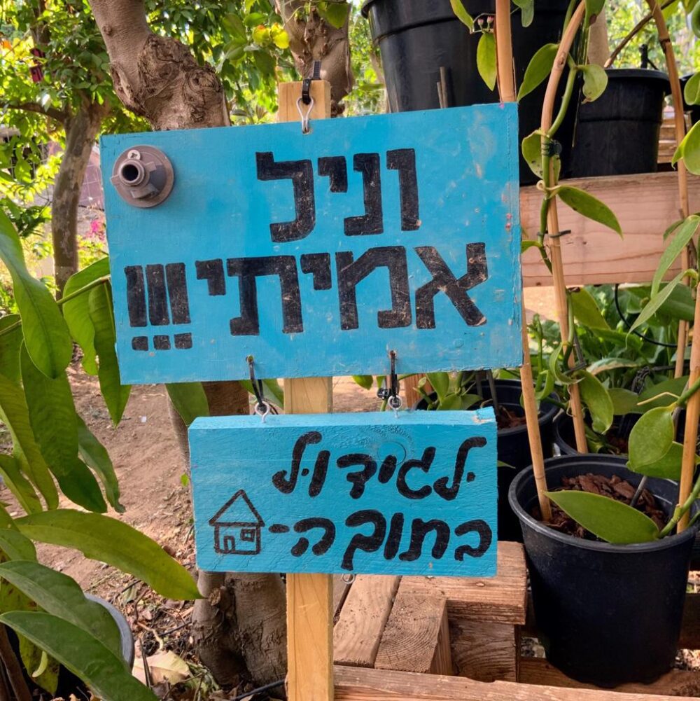 וניל שלט