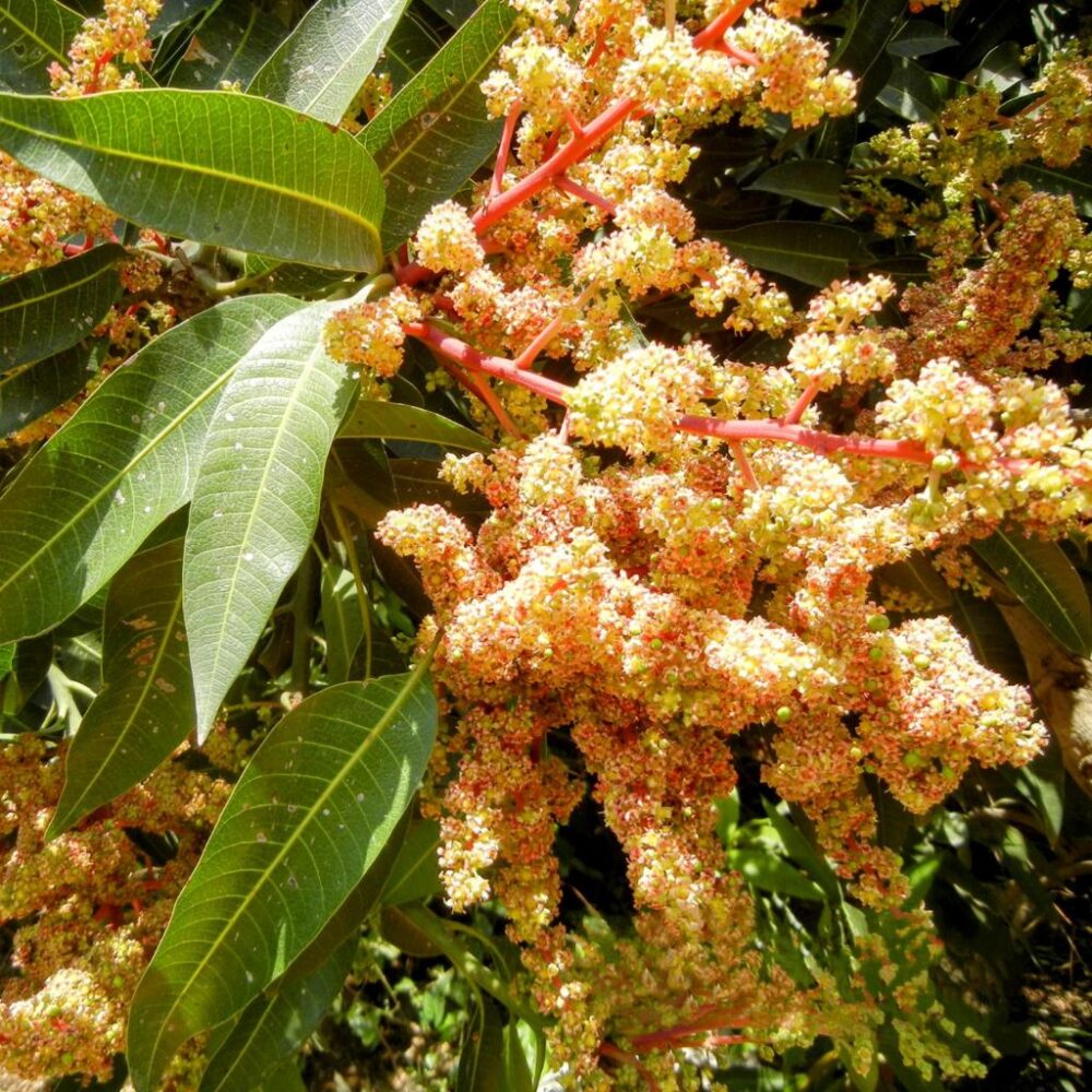 Whatsapp Image 2023 09 27 At 13.27.42