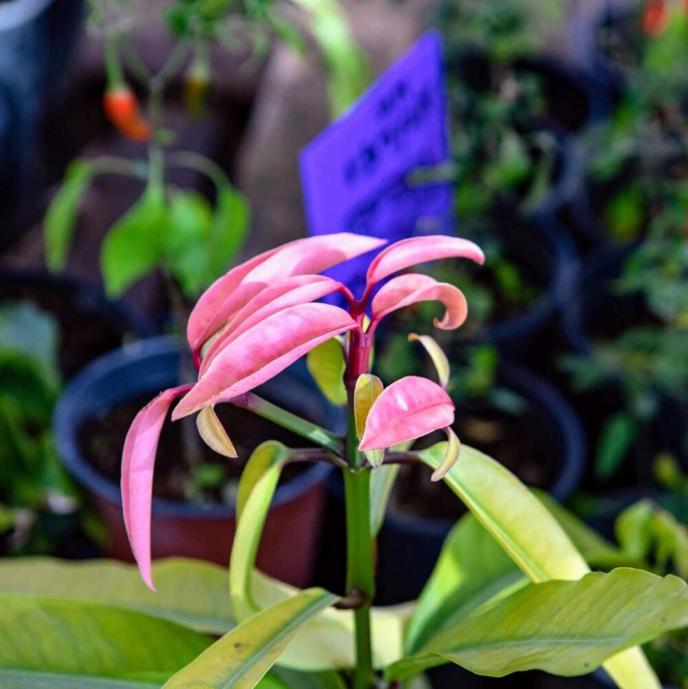 Whatsapp Image 2023 09 30 At 19.22.59