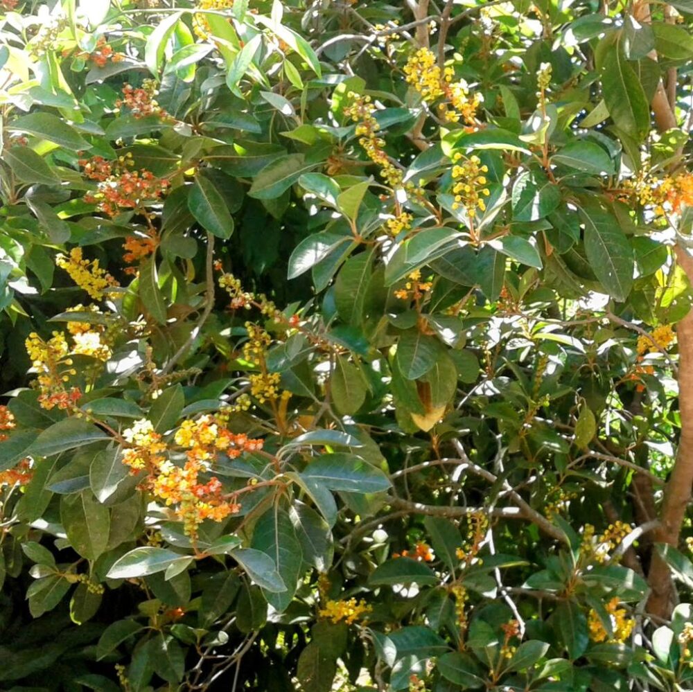 Whatsapp Image 2023 10 17 At 21.28.14