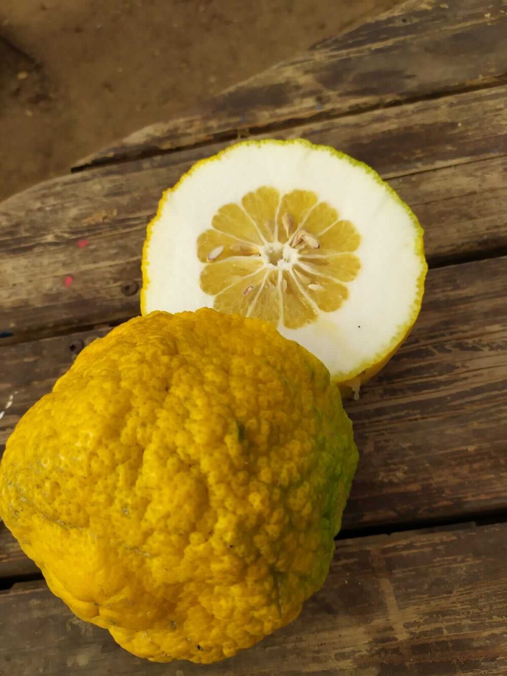 D606f349 E97c 425f 9f71 89a95de82721.jpg