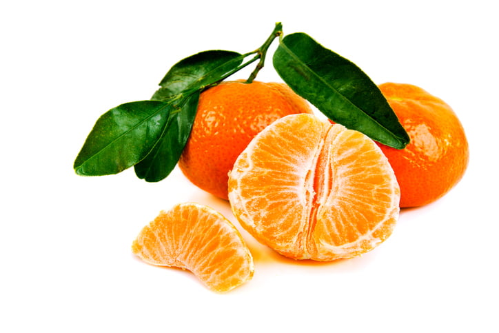 קלמנטינה מנדרינה יוסוף אפנדי