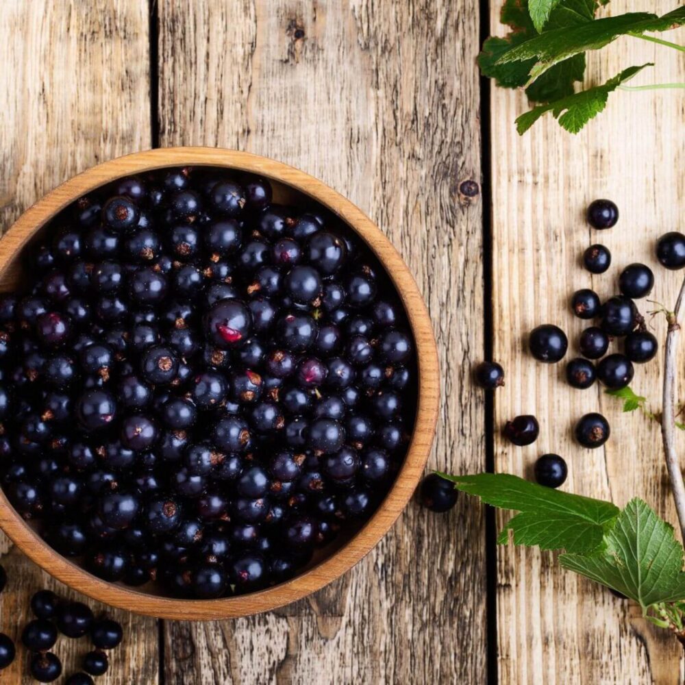 דומדמניות שחורות 2