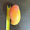 מנגו נאם דוק מאי Nam Dok Mai Thai Mango