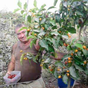 משה ולך משתלת ולך