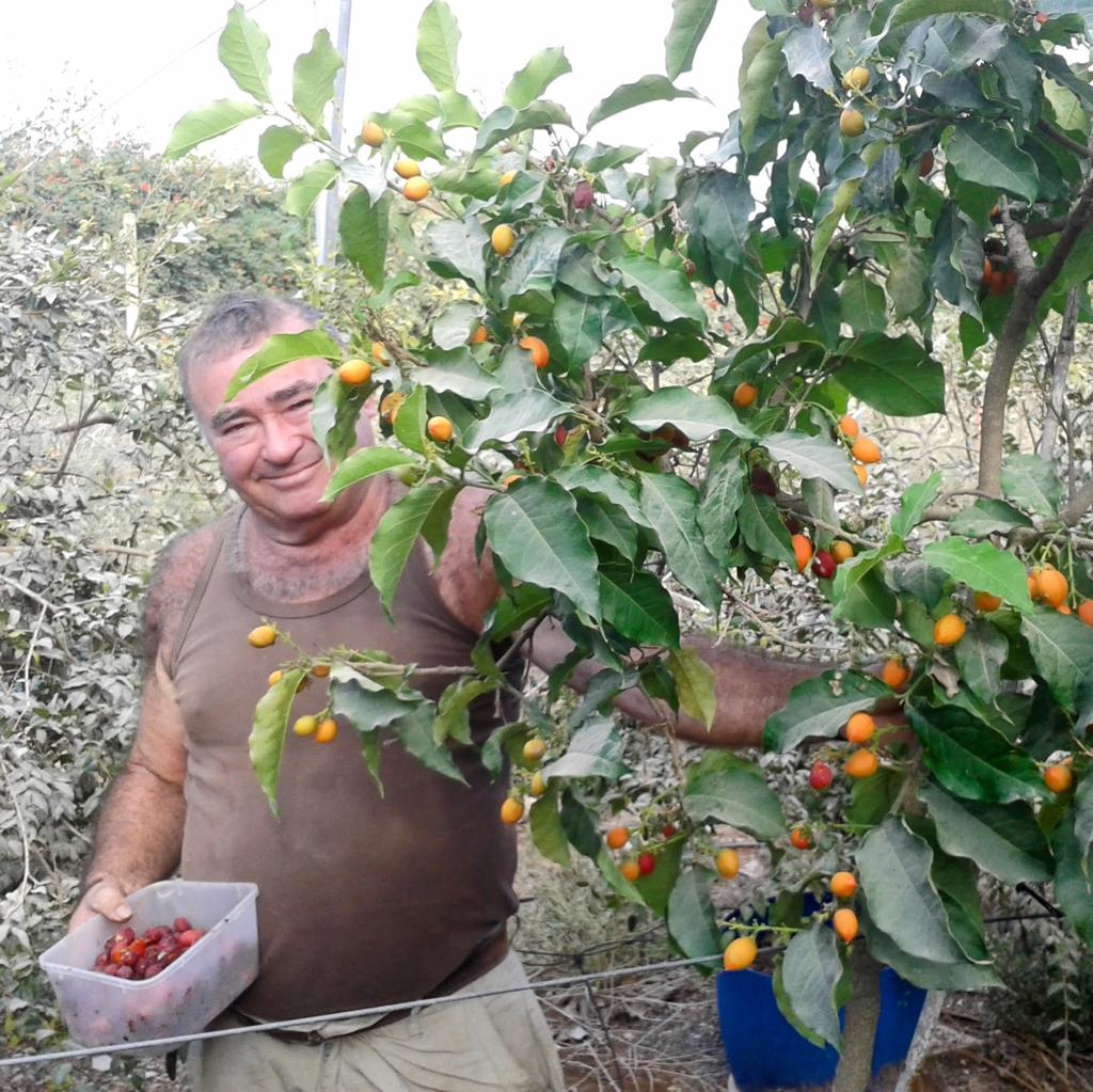 משה ולך משתלת ולך