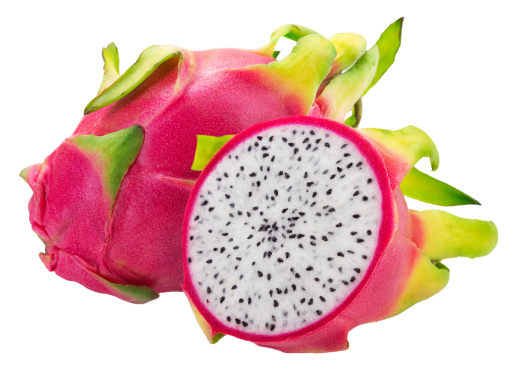 הדרכות מקצועיות