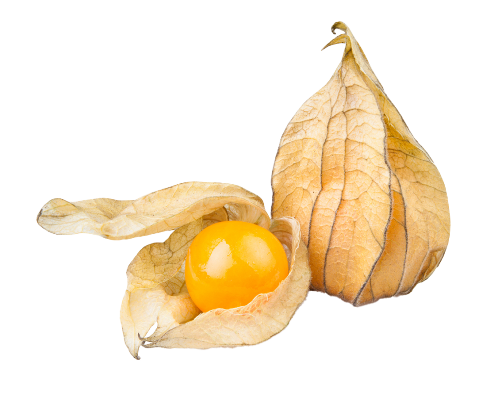 מתכונים מהגינה