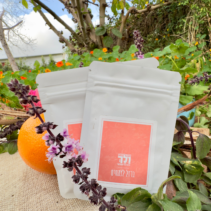 ברזל לצמחים