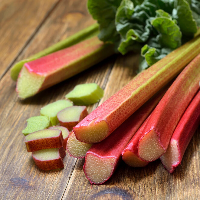 רובארב Garden rhubarb