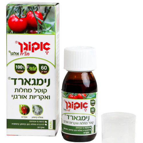 עיצוב ללא שם 2025 08 19t110249.900