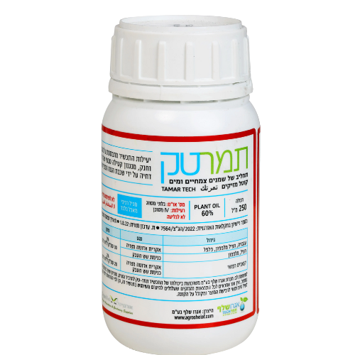 עיצוב ללא שם 2025 08 19t110539.006